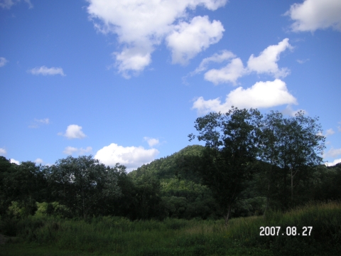 s_PICT0250.jpg